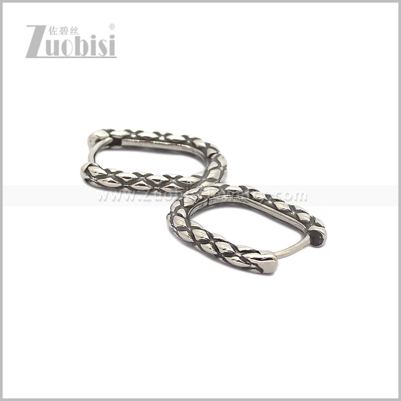 Stainless Steel Earring e002819S