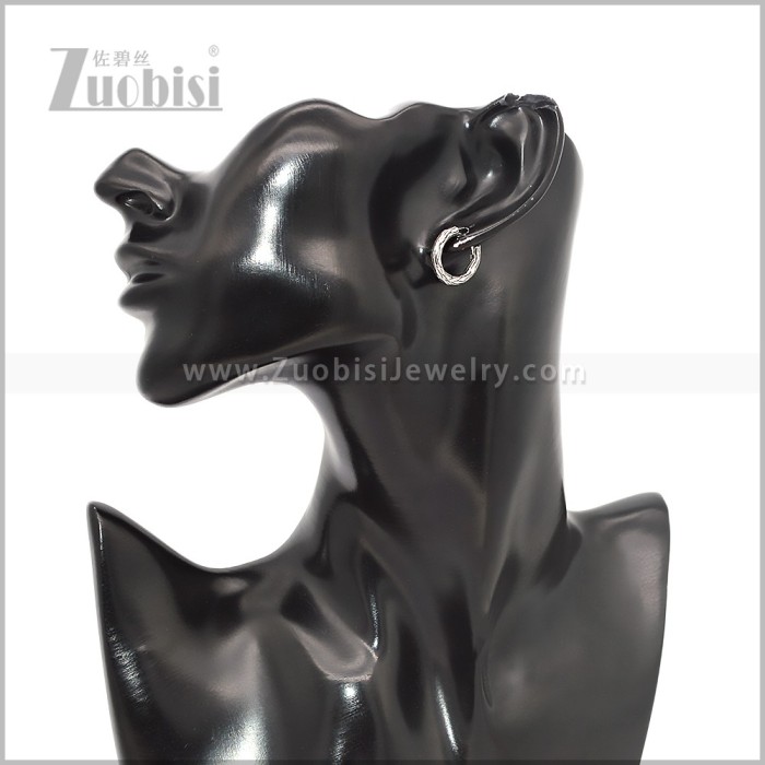 Stainless Steel Earring e002826S2