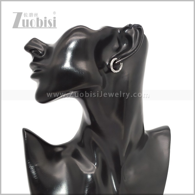 Stainless Steel Earring e002826S2