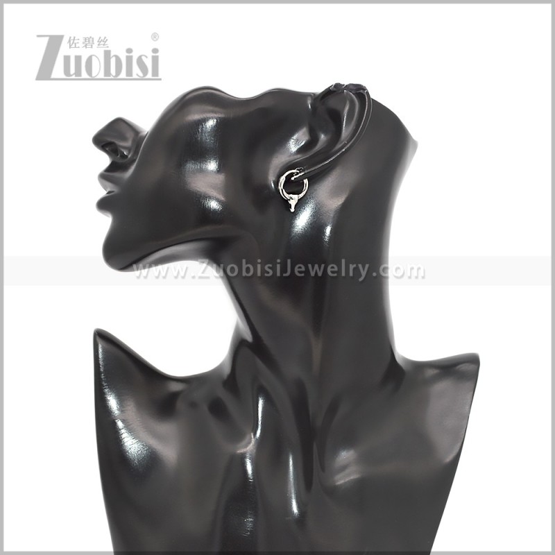 Stainless Steel Earring e002813S