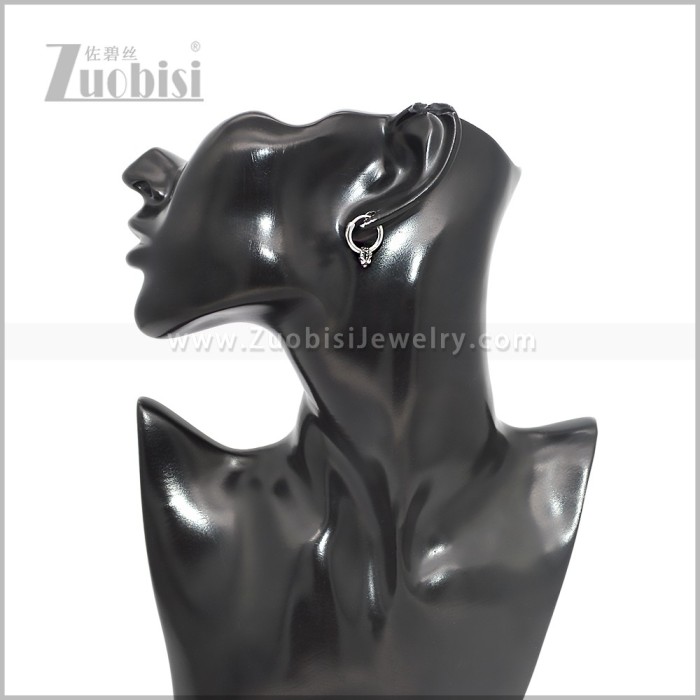 Stainless Steel Earring e002842S