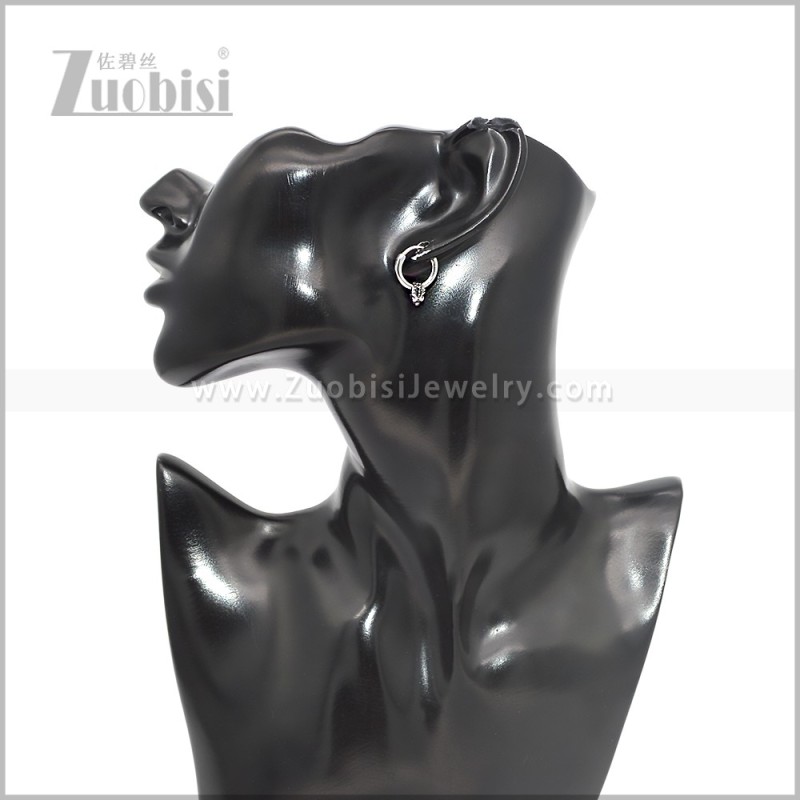 Stainless Steel Earring e002842S