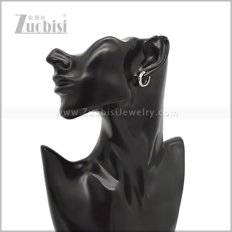 Stainless Steel Earring e002812S