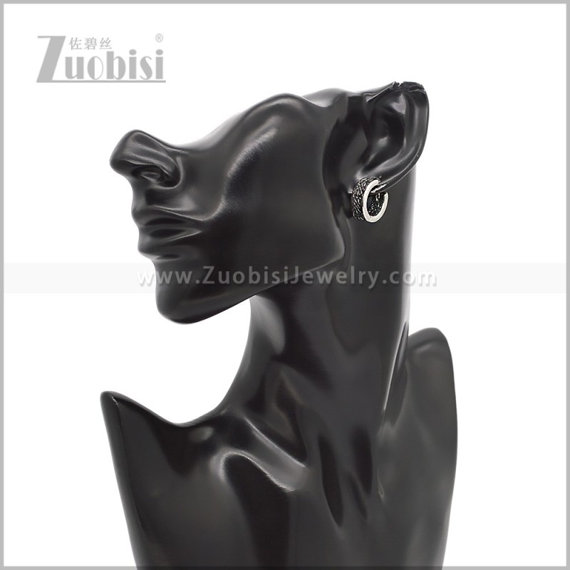 Stainless Steel Earring e002858S