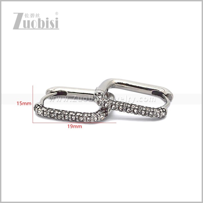 Stainless Steel Earring e002816S