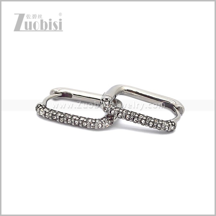 Stainless Steel Earring e002816S