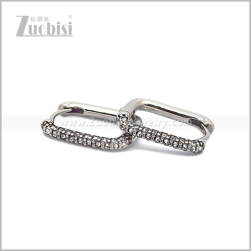 Stainless Steel Earring e002816S
