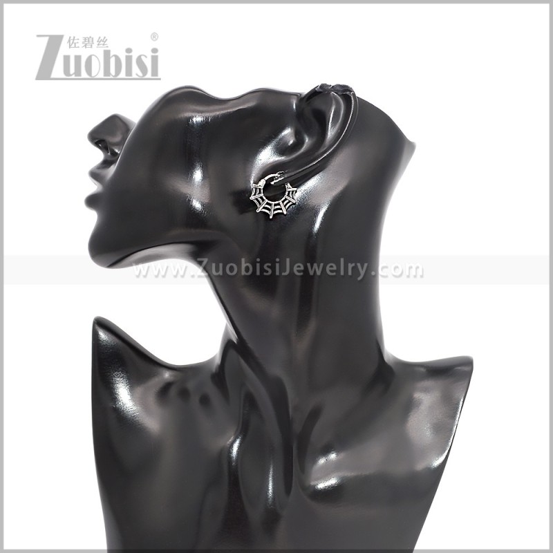 Stainless Steel Earring e002852S