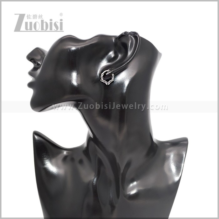 Stainless Steel Earring e002853S