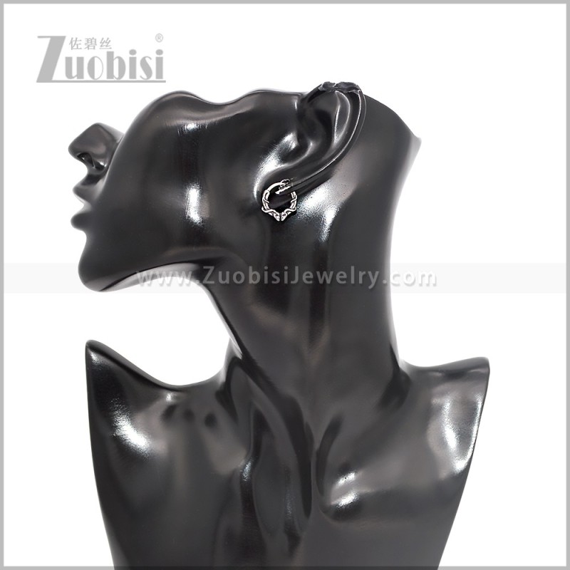 Stainless Steel Earring e002853S