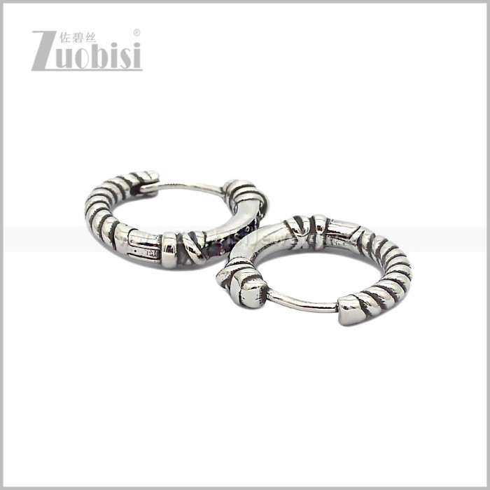 Stainless Steel Earring e002815SH