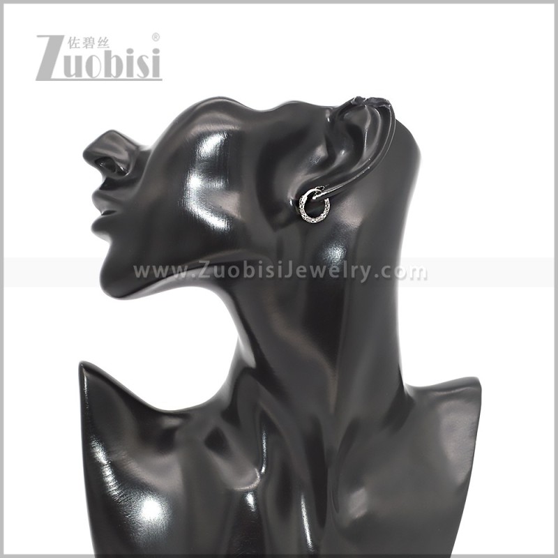 Stainless Steel Earring e002820S