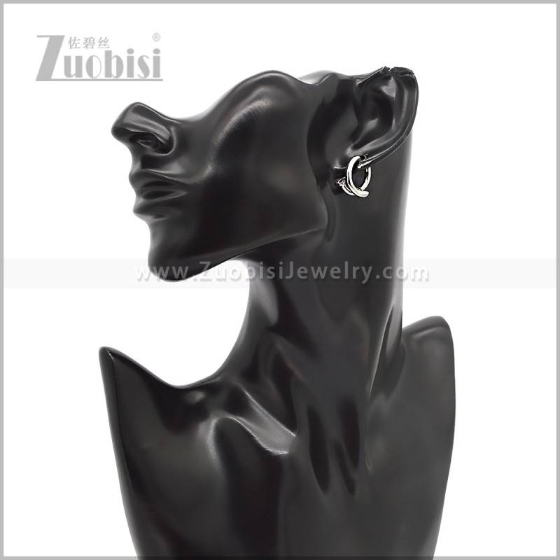 Stainless Steel Earring e002829S