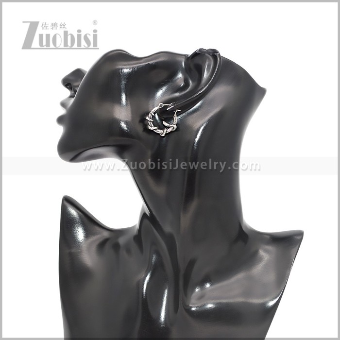 Stainless Steel Earring e002824S