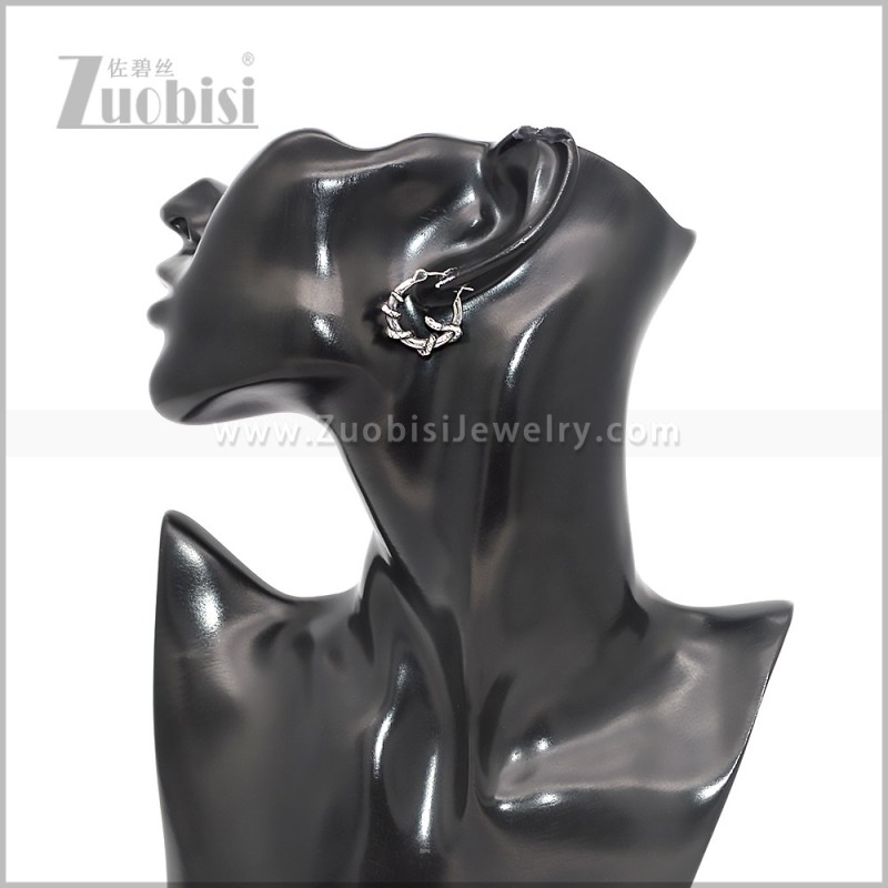 Stainless Steel Earring e002824S