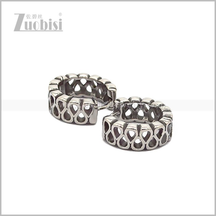 Stainless Steel Earring e002807S
