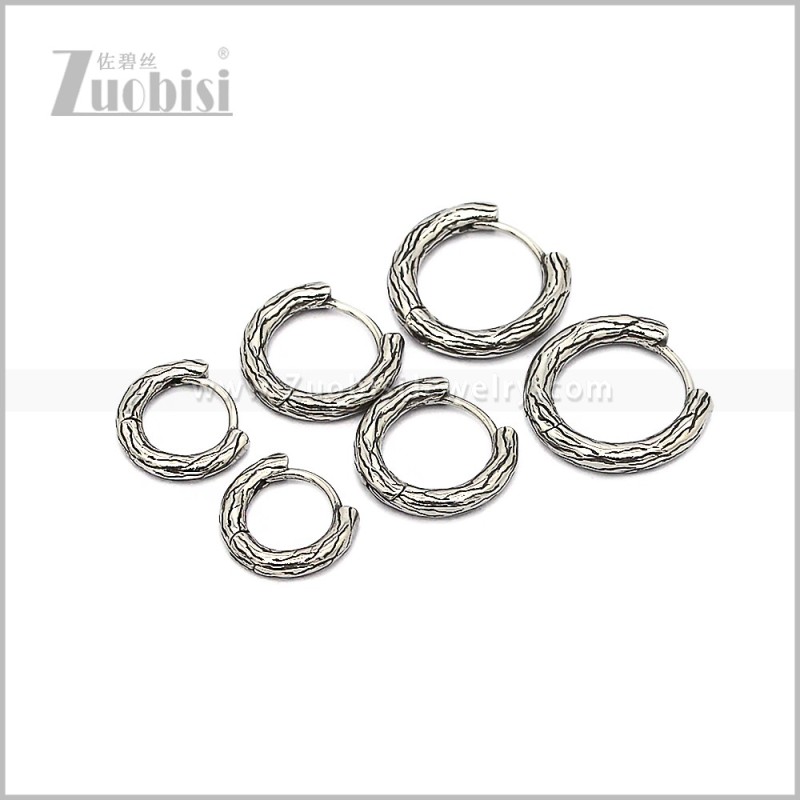 Stainless Steel Earring e002826S