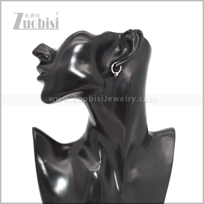 Stainless Steel Earring e002811S