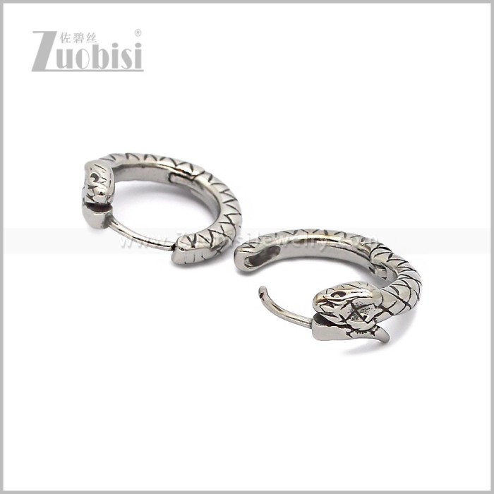 Stainless Steel Earring e002845S