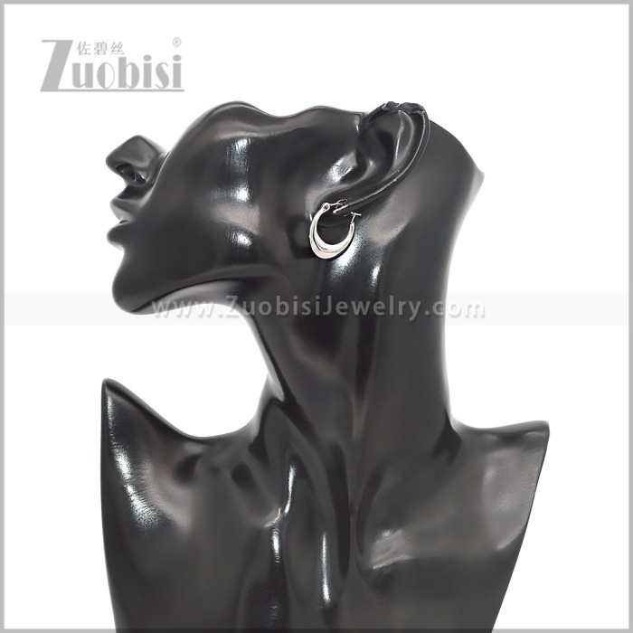 Stainless Steel Earring e002821S