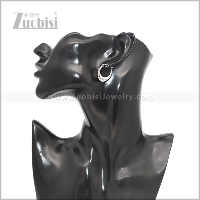 Stainless Steel Earring e002821S