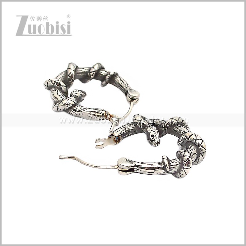 Stainless Steel Earring e002824S