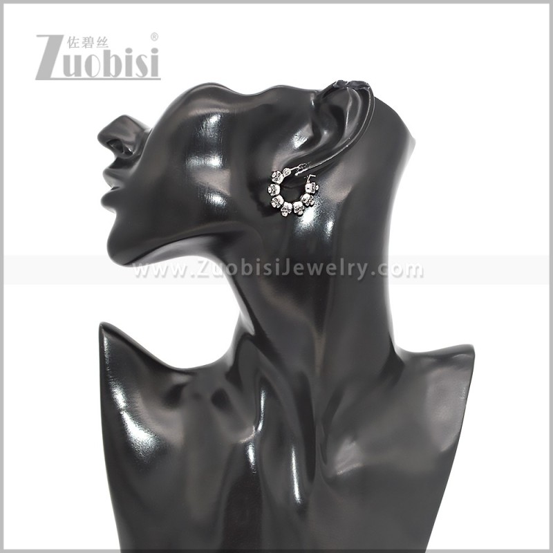 Stainless Steel Earring e002817S
