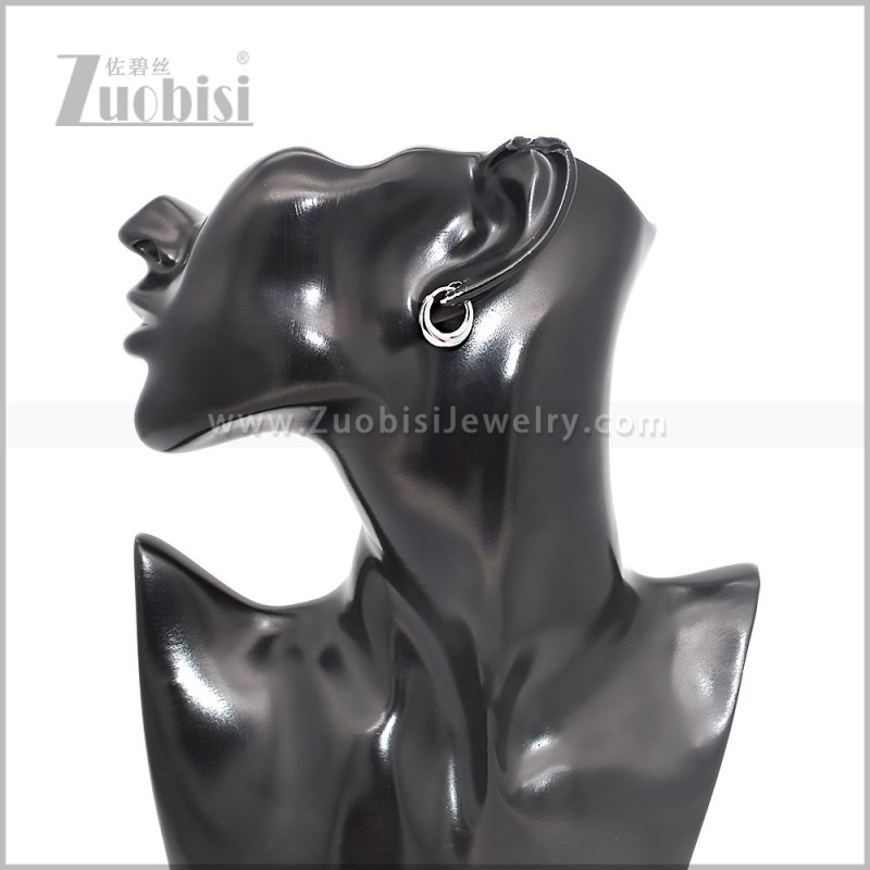 Stainless Steel Earring e002860S