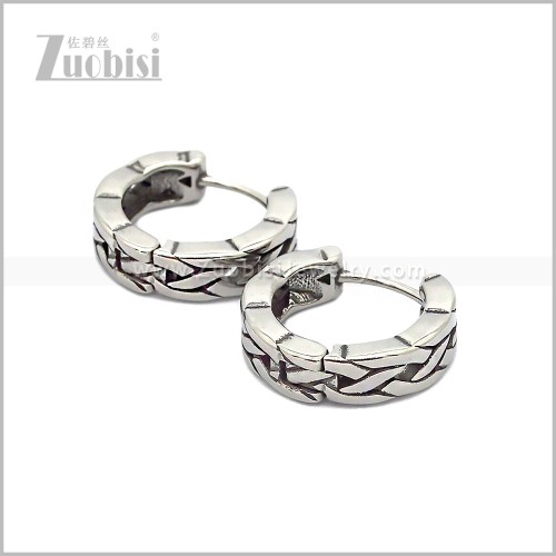 Stainless Steel Earring e002849S