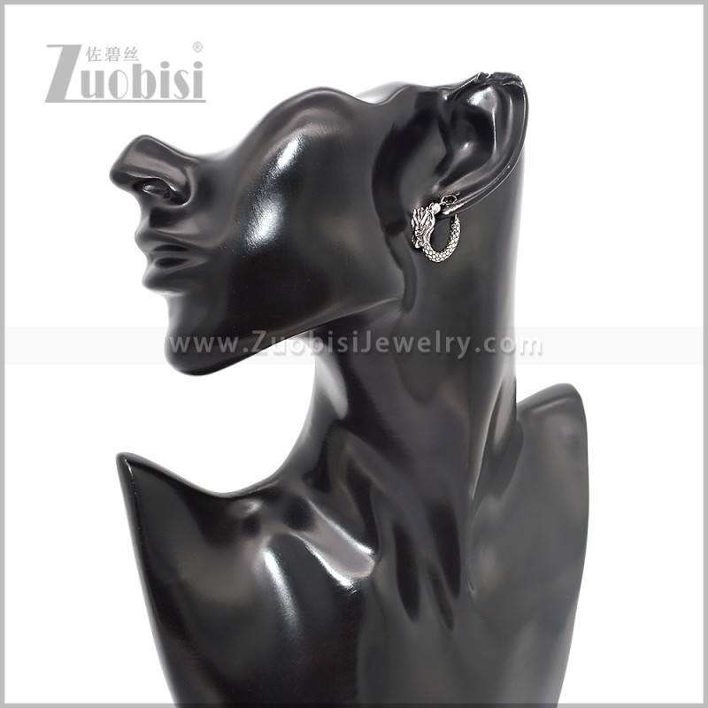Stainless Steel Earring e002851S