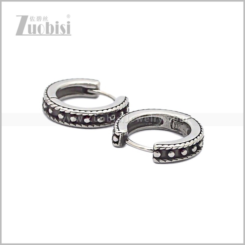 Stainless Steel Earring e002831S