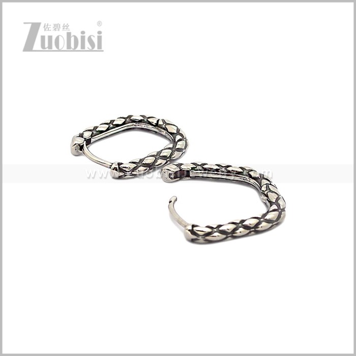 Stainless Steel Earring e002819S