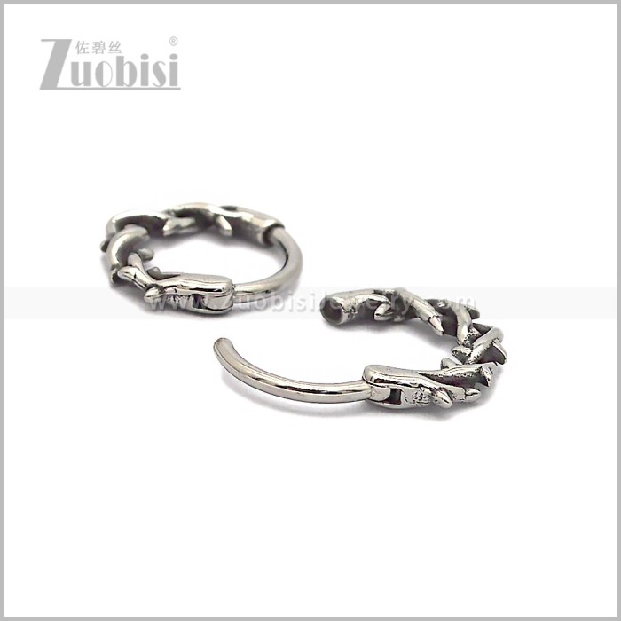 Stainless Steel Earring e002838S