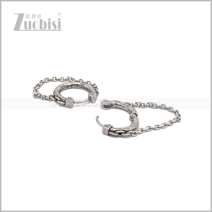 Stainless Steel Earring e002834S