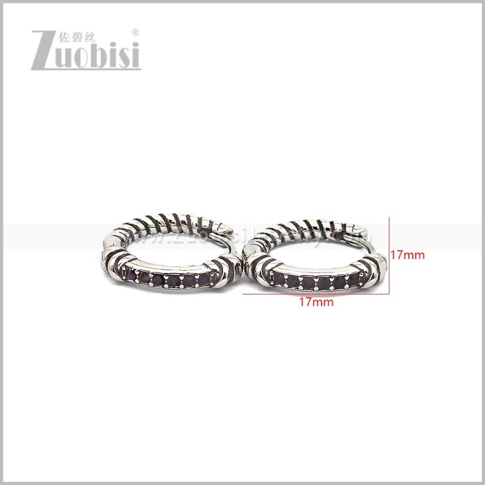 Stainless Steel Earring e002815SH
