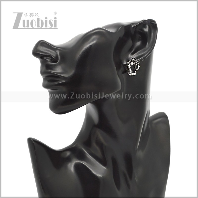 Stainless Steel Earring e002847S