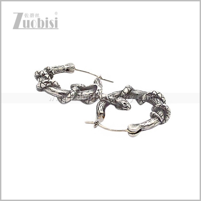 Stainless Steel Earring e002824S