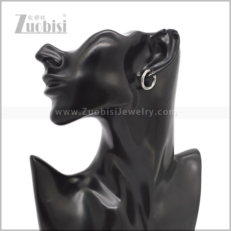 Stainless Steel Earring e002826S3
