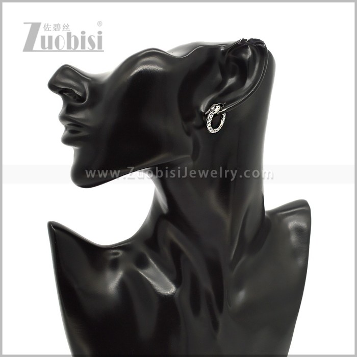 Stainless Steel Earring e002845S