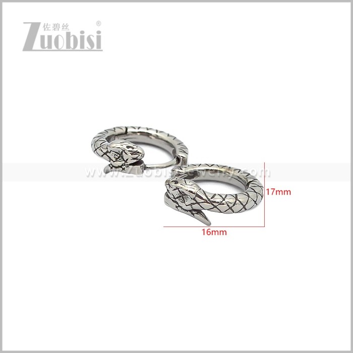 Stainless Steel Earring e002845S