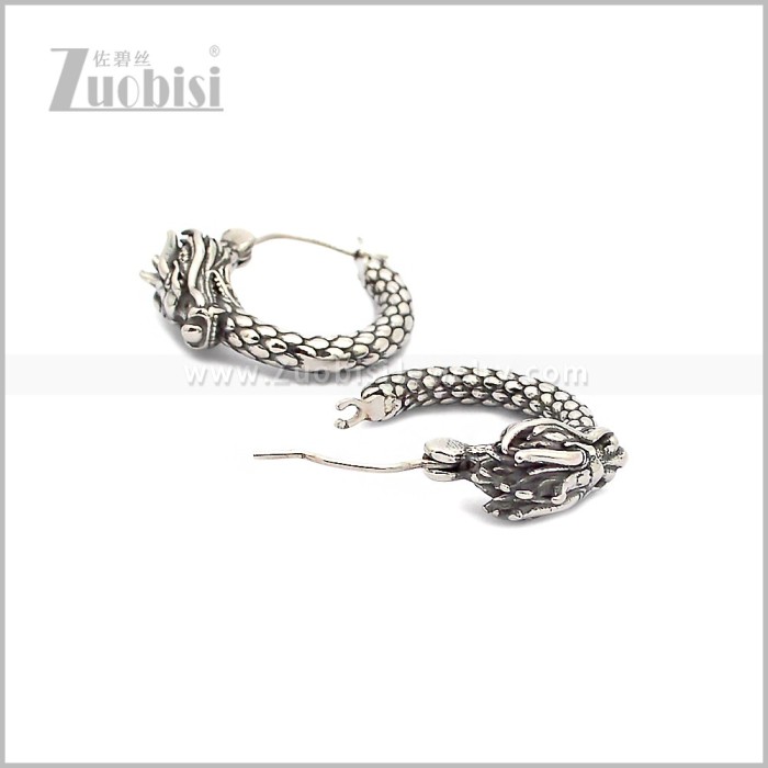 Stainless Steel Earring e002851S