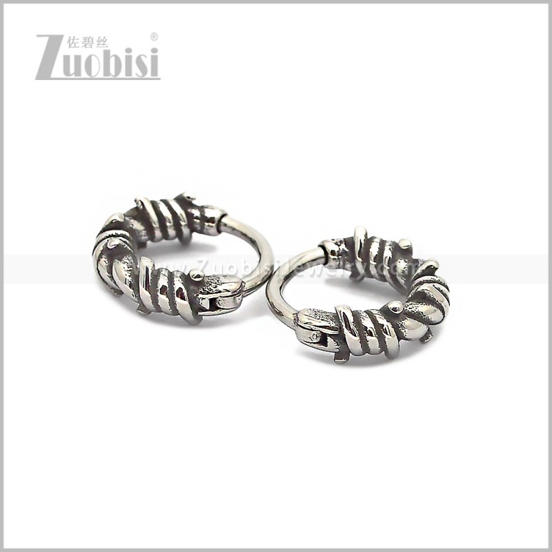 Stainless Steel Earring e002814S