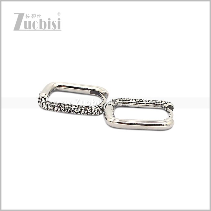 Stainless Steel Earring e002816S