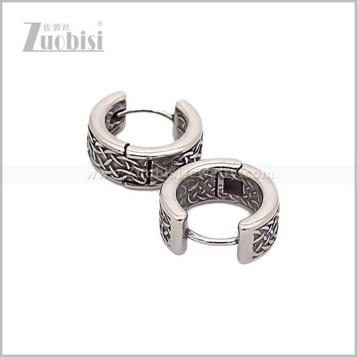 Stainless Steel Earring e002858S
