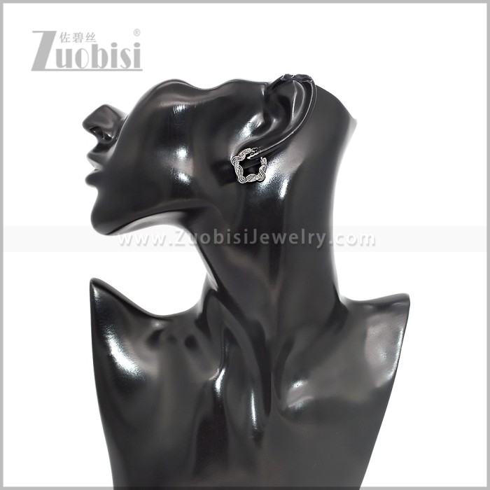 Stainless Steel Earring e002855S