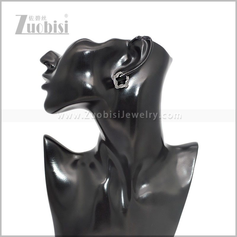 Stainless Steel Earring e002855S