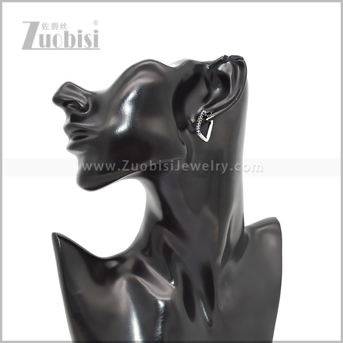 Stainless Steel Earring e002816SH