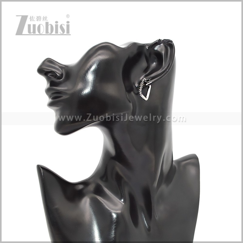 Stainless Steel Earring e002816SH