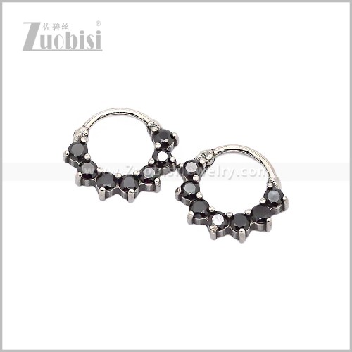 Stainless Steel Earring e002830SH