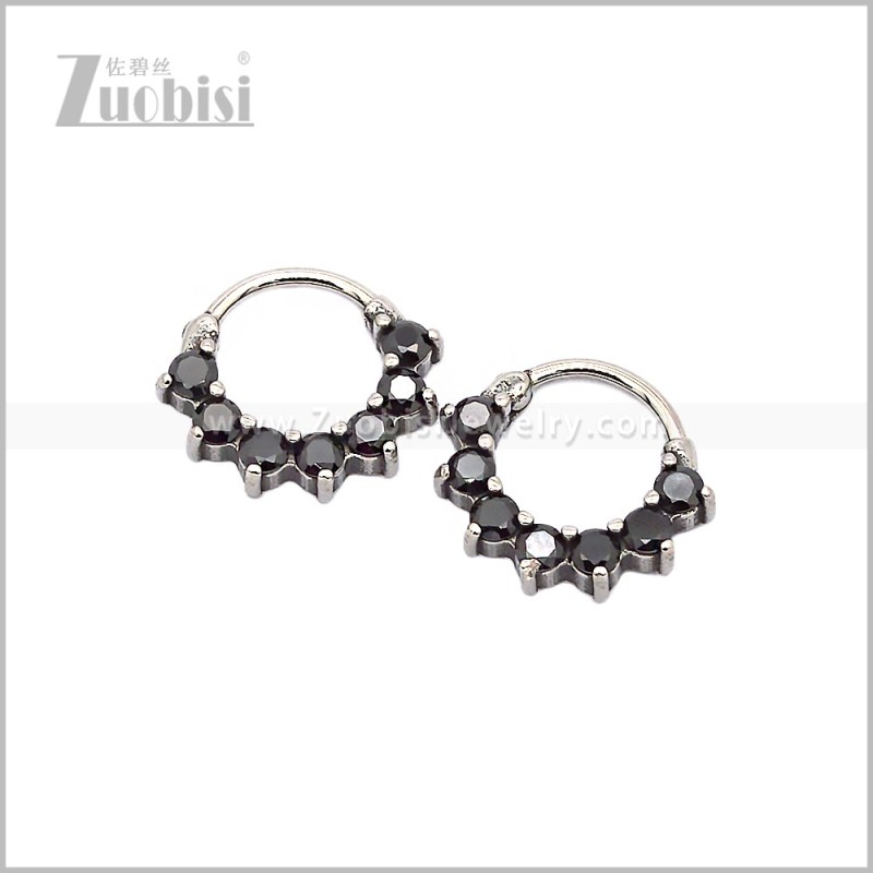 Stainless Steel Earring e002830SH